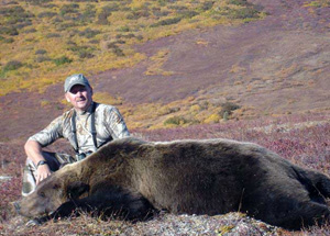 alaska grizzley bear hunting