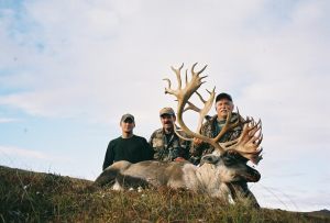 Caribou