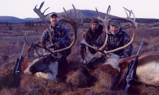 Alaska Caribou Hunting