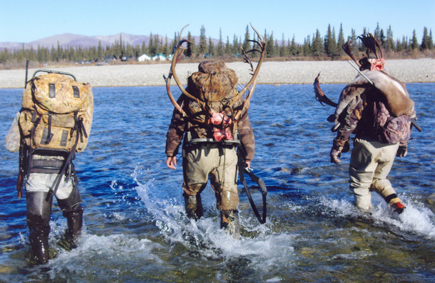 Alaska Caribou Hunting