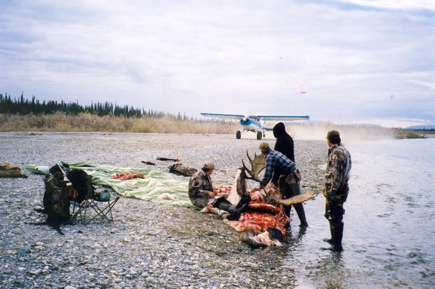 Alaska Caribou Hunting