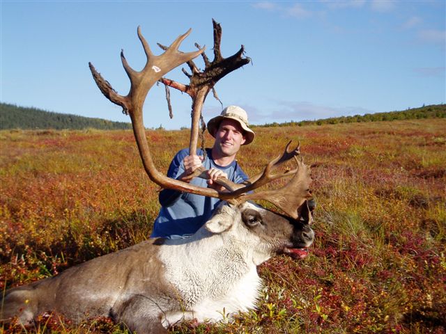 Alaska Caribou Hunting