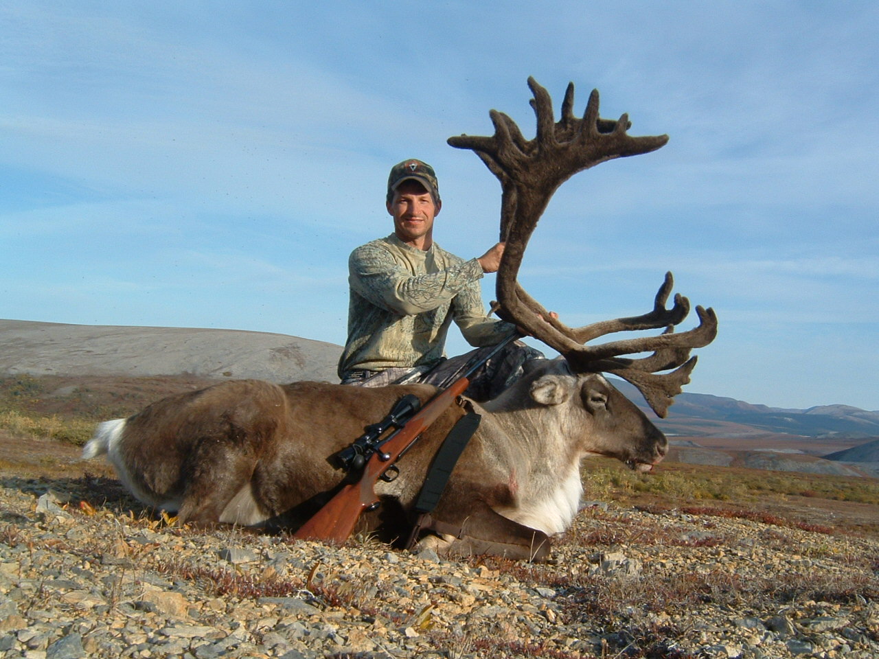 How to Hunt Caribou in Alaska 