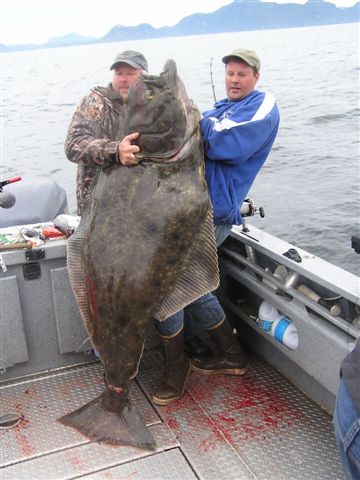 Alaska Halibut Fishing Ketchikan