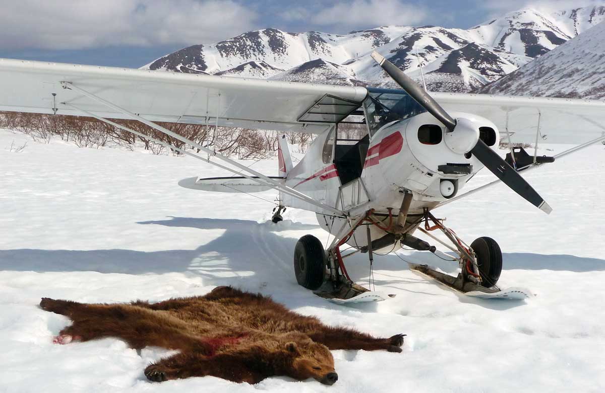 alaska wilderness guiding and charters