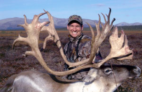 Alaska Wilderness Charters & Guiding - Caribou Gallery